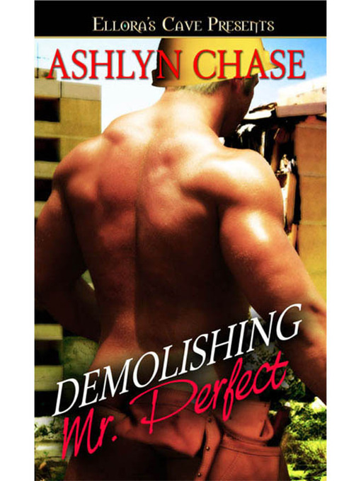 Title details for Demolishing Mr. Perfect by Ashlyn Chase - Available